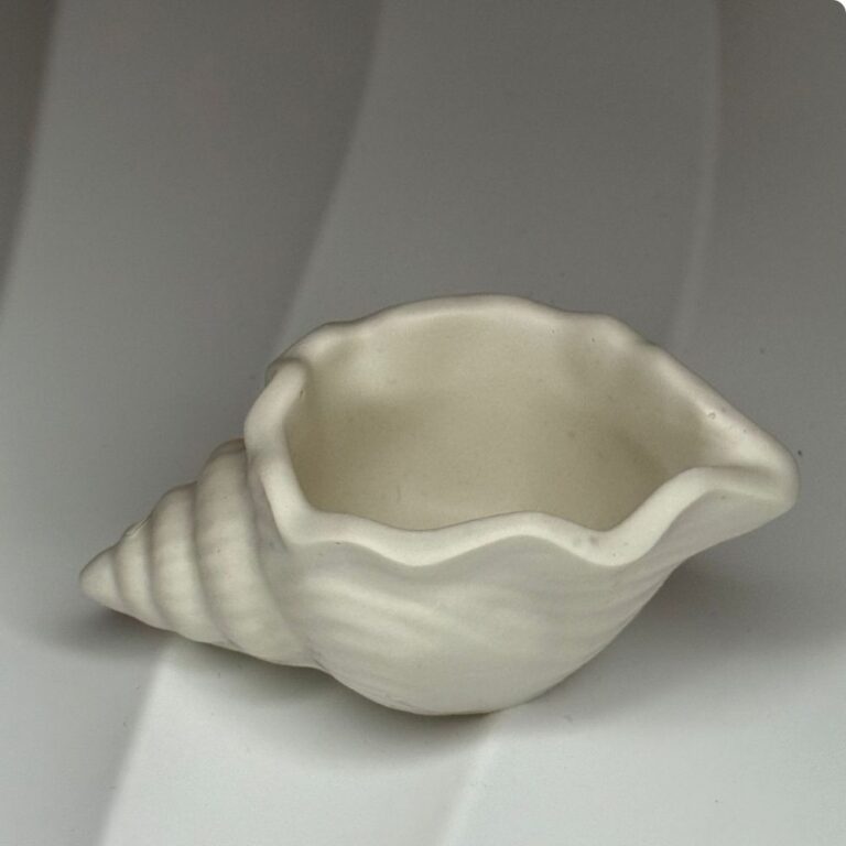 קערית קונכייה